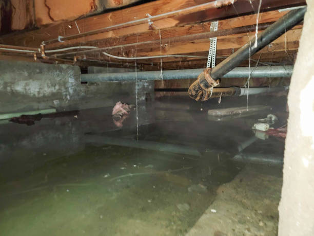 Best Water damage restoration near me  in Cashion, OK