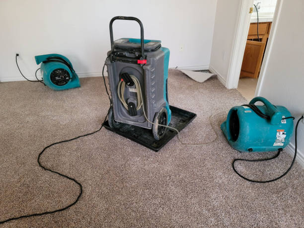 Best Professional water damage repair  in Cashion, OK