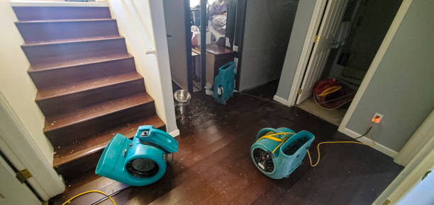 Water damage restoration mold remediation in Cashion, OK