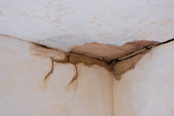 Best Emergency water extraction  in Cashion, OK