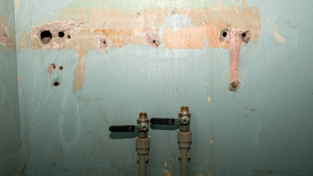 Best Water damage contractors near me  in Cashion, OK